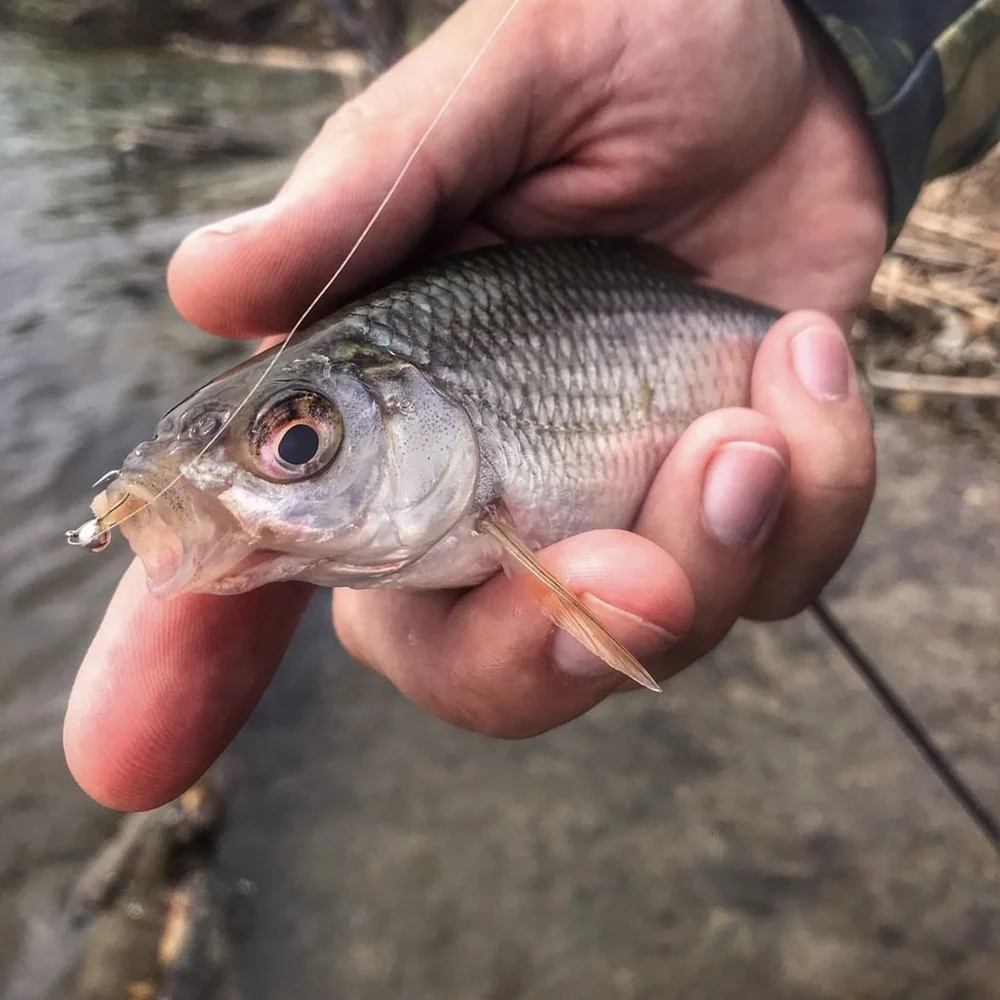 엘리트 TG 볼 지그 헤드, 깊은 물, 부드러운 루어, 텅스텐 얼음 낚시, 하야부사 후크, 2.5mm, 3mm, 4mm, 5mm, 6mm, 7mm, 8mm