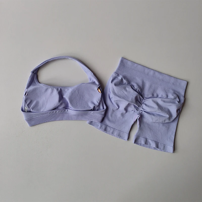 섹시한 홀터넥 넥 아름다운 뒤 높은 허리 복숭아 스포츠 브래지어 반바지 정장 필라테스 수집 요가 조끼 훈련 피트니스 브래지어 세트