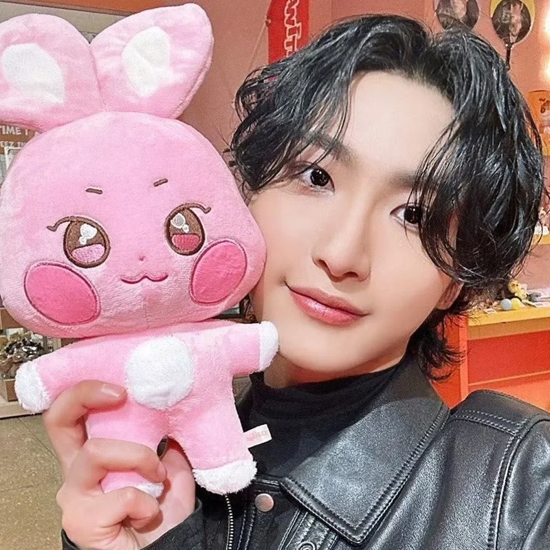 Kpop Aniteez 카와이 박제 동물 봉제 인형 장난감 방 장식, 홍중 성화 윤호 여수 산명 우영 종호 Plu