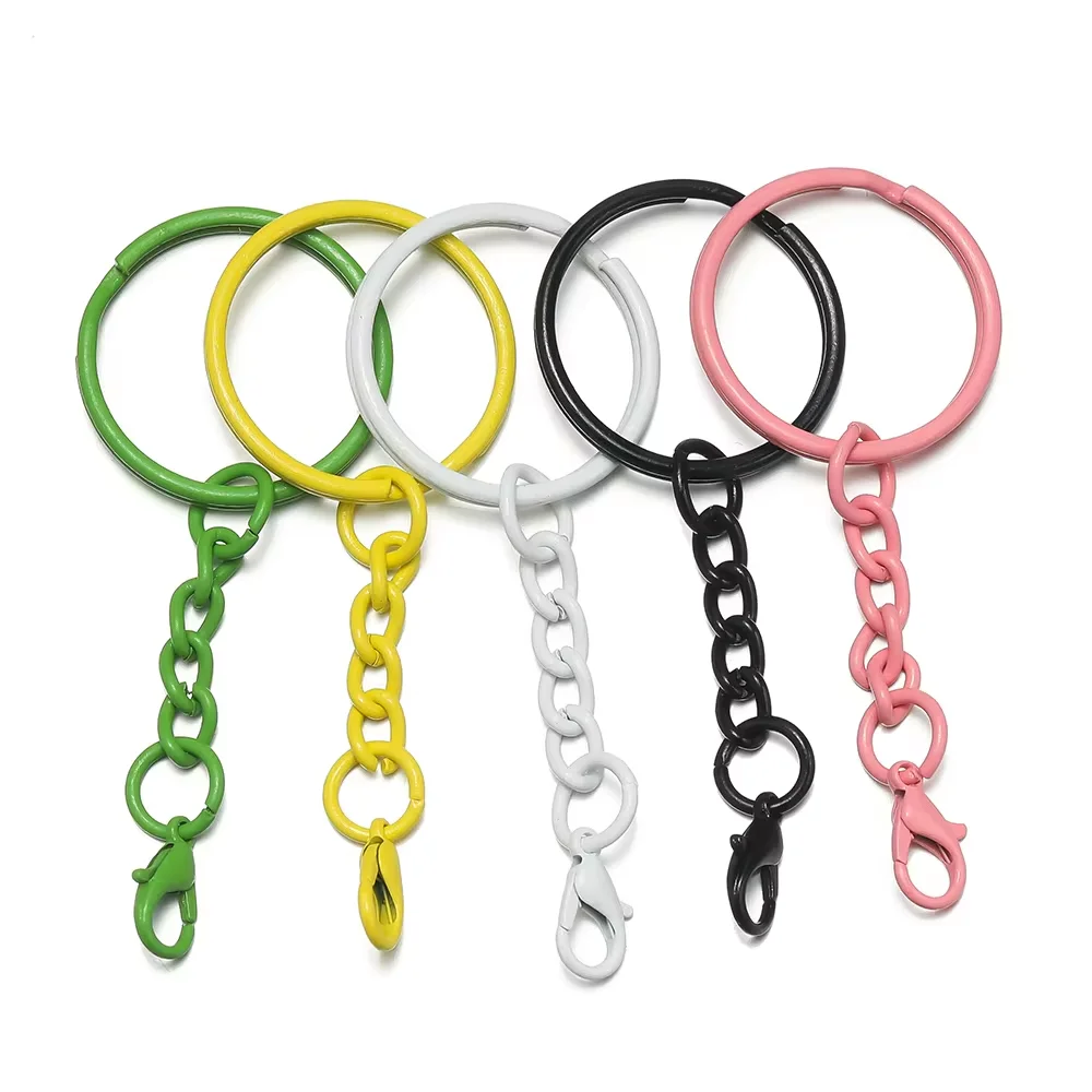 10pcs 25mm 컬러 열쇠 고리 체인 랍스터 걸쇠 DIY 쥬얼리 만들기 열쇠 고리 커넥터 후크 가방 버클 액세서리 title=10pcs 25mm 컬러 열쇠 고리 체인 랍스터 걸쇠 DIY 쥬얼리 만들기 열쇠 고리 커넥터 후크 가방 버클 액세서리 