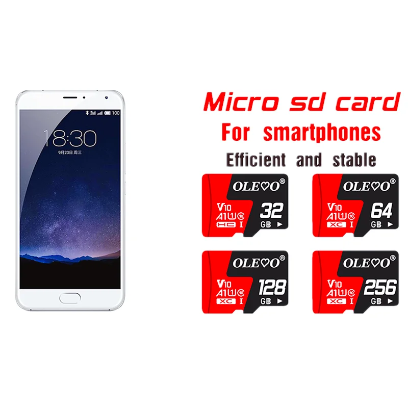 Class10 메모리 카드 256GB 128GB 64GB 32GB 16GB 마이크로 V10 sd 카드 플래시 카드 휴대 전화 용 8GB 4GB 메모리 TF/SD 카드