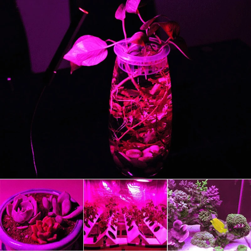 LED 성장 COB 칩 식물 램프 전체 스펙트럼 AC220V 10W 20W 30W 50W 실내 식물 모종 성장 및 꽃 성장 조명