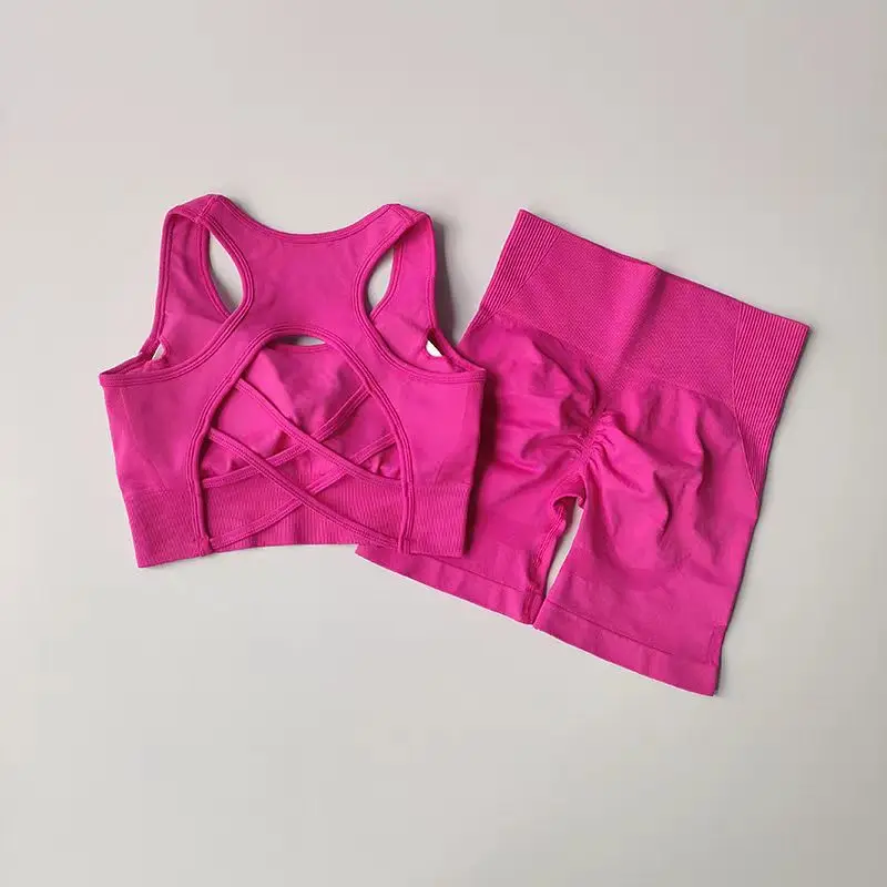 2 PCS 여성의 원활한 요가 세트 섹시한 스포츠 브래지어 높은 허리 스포츠 반바지 체육관 피트니스 민소매 운동복 Sporstwear
