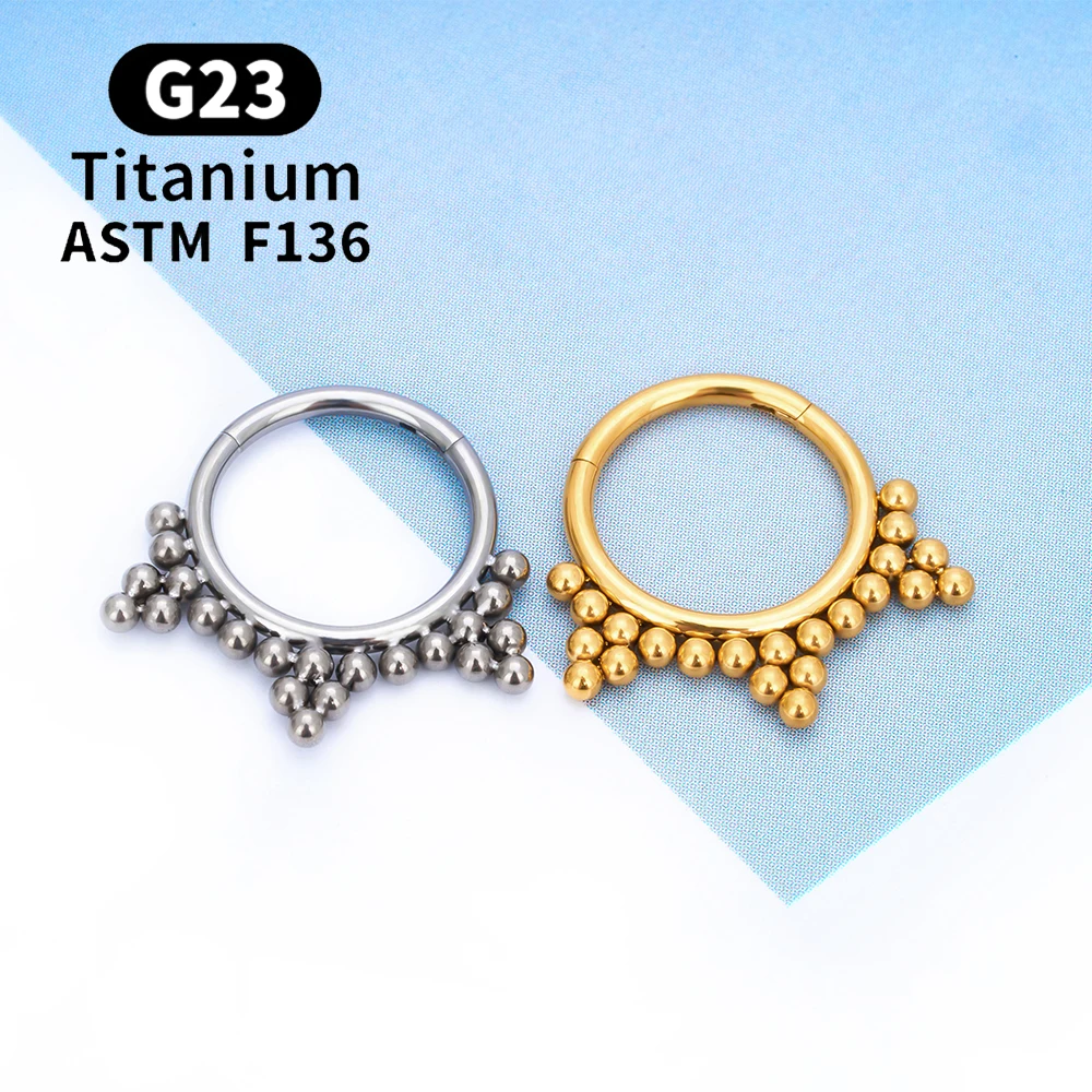 G23 티타늄 라운드 후프 D 모양 코 링 Daith 하트 귀걸이 16G CZ 힌지 세그먼트 귀 Tragus 연골 헬릭스 피어싱 쥬얼리
