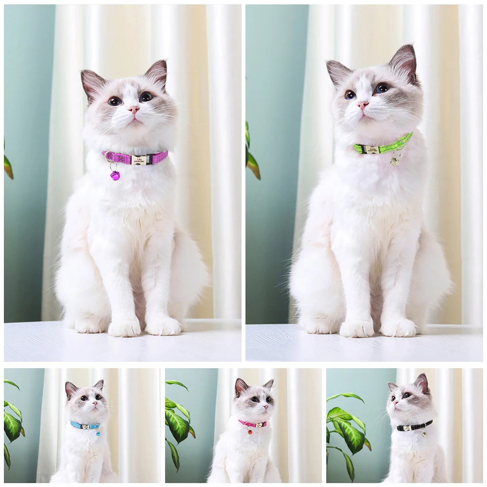 개인화 된 고양이 목걸이 반사 나일론 개 고양이 ID 목걸이 고양이를위한 벨 무료 조각 작은 개 치와와 10 색