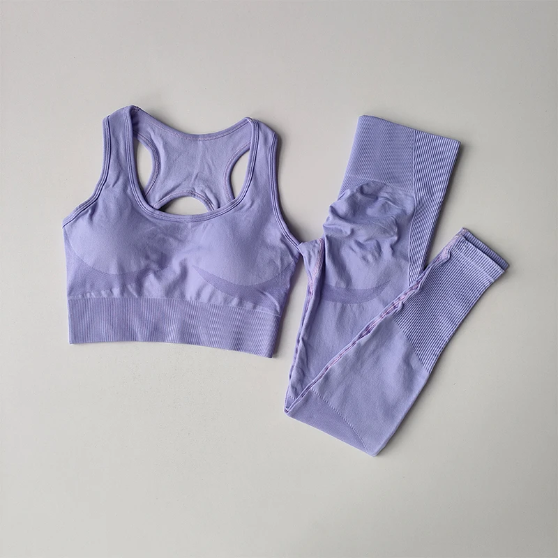 2PCS 스포츠 브래지어 여성 세트 전문 피트니스 탱크 탑 브래지어 충격 방지 러닝 레깅스 요가 정장 아름다운 다시 브래지어 의류