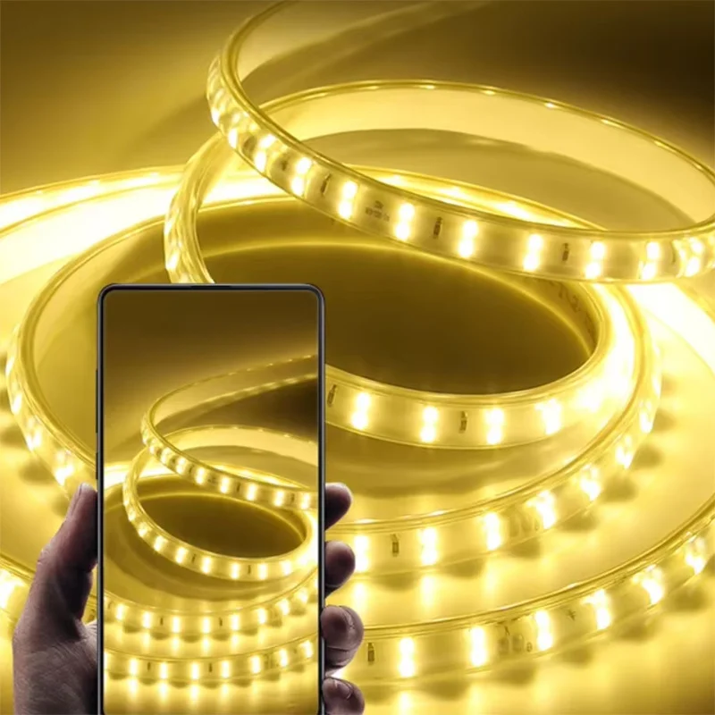 220V Led 스트립 1-30m Eu 플러그 2835 유연한 리본 빛 방수 Led 테이프 홈 부엌 야외 정원 장식 조명